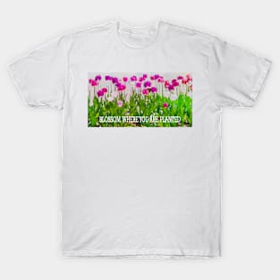 BLOSSOM WHERE YOU ARE PLANTED T-Shirt